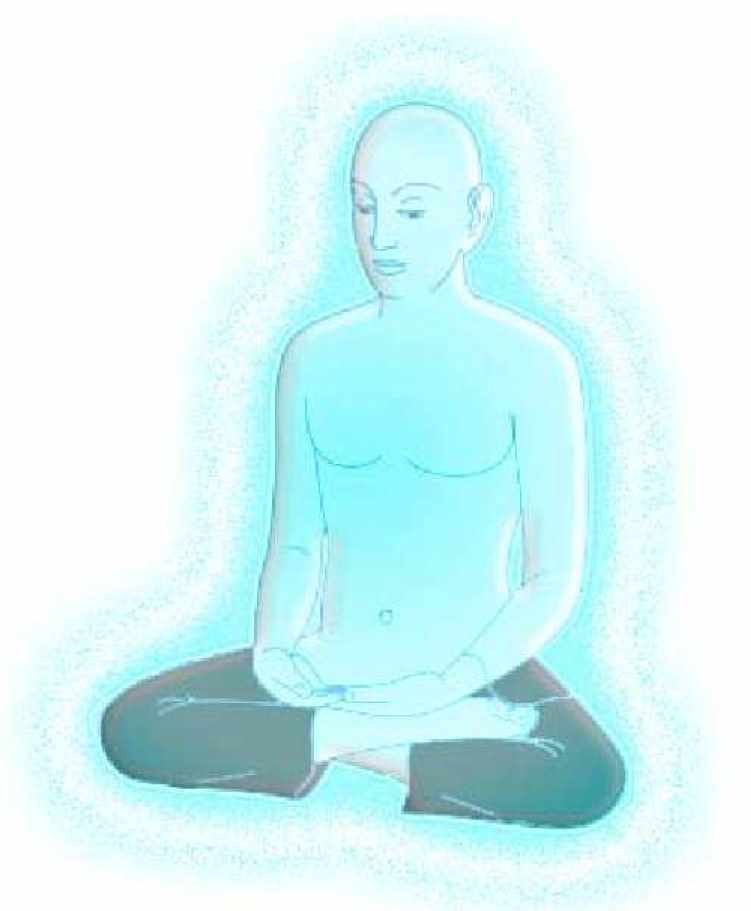 Тело синего огня (Хари Андри Винарсо)