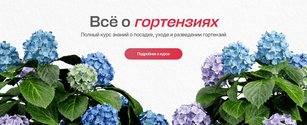 [Умный садовник] Всё о гортензиях. Тариф Самостоятельный (Дмитрий Звонка, Ольга Никитина)