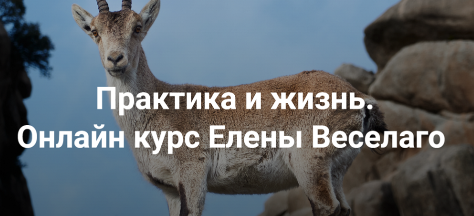 [Институт Открытого Поля] Практика и жизнь 2024. Ступень 2 (Елена Веселаго)