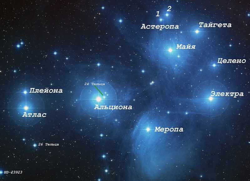 Голубая Звезда Альциона (Габи Солина Грилл Миттерхофер)