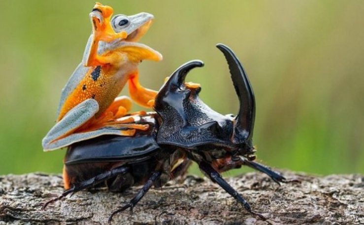 Люблю? Хочу? Могу? Причины секса (Алексей Тимофеев)