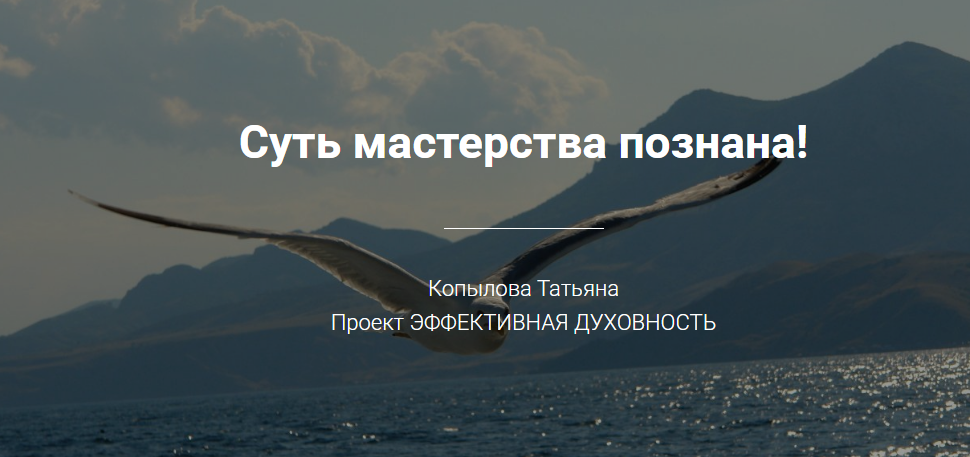 Суть мастерства познана: Чудеса трансформации, 2017 (Татьяна Копылова)