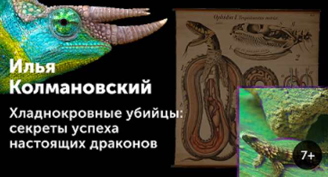 [Прямая речь] Хладнокровные убийцы: секреты успеха настоящих драконов (Илья Колмановский)