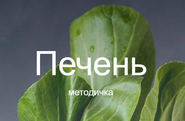 Методичка печень (Валентина Жукова)