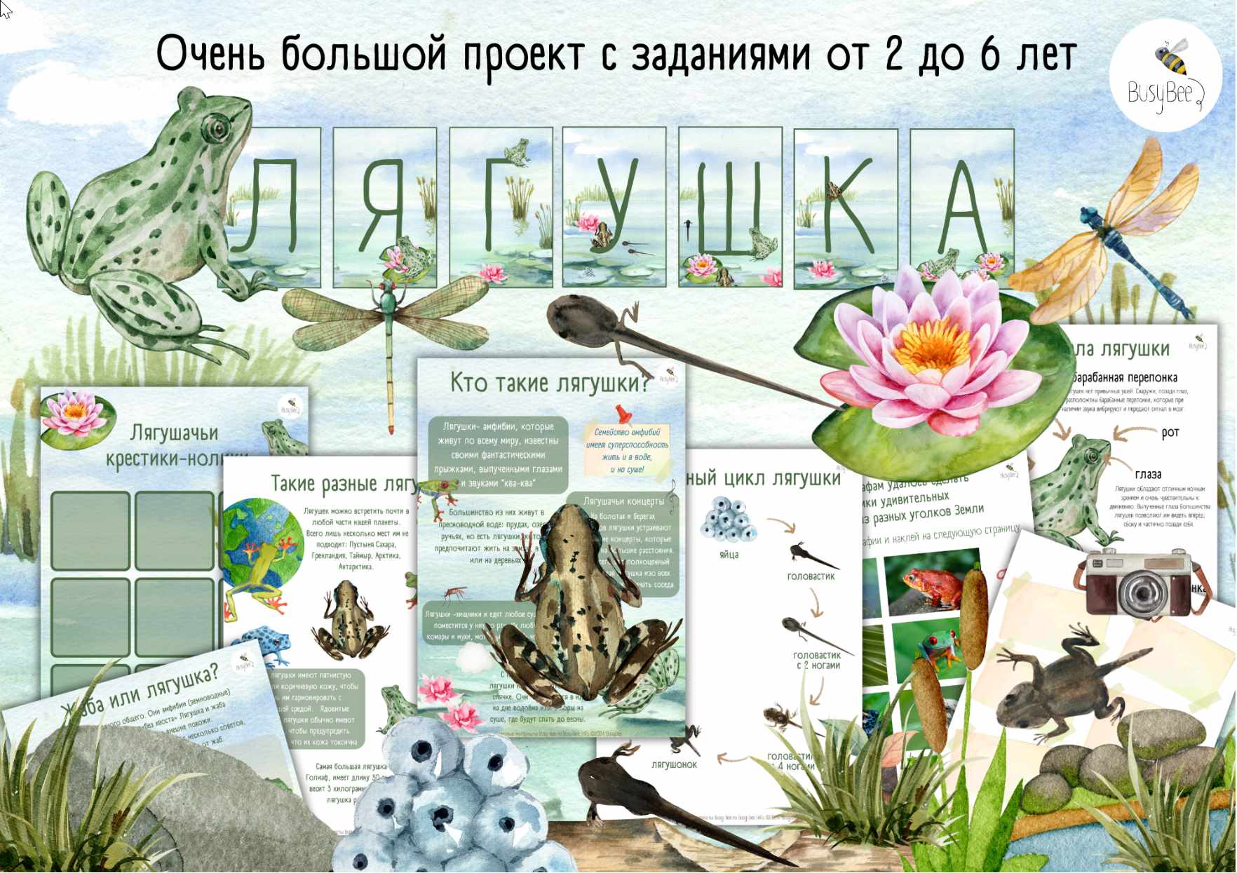 [busy-bee] Большой проект Лягушка (Елена Самсонова)