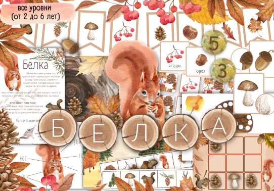 [busy-bee] Белка. Все уровни