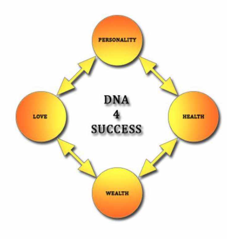 Успех ДНК 4 (Хари Андри Винарсо)