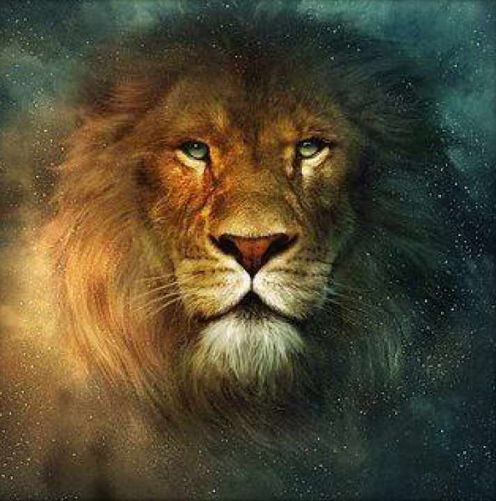 Синго Лодойо. Лев Леса (Хари Андри Винарсо)