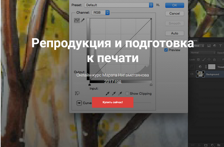 Репродукция и подготовка к печати (Марат Нигаметзян)