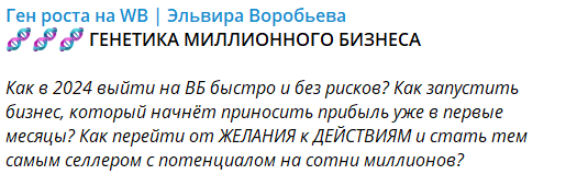 Первый миллион селлера (Эльвира Воробьева)