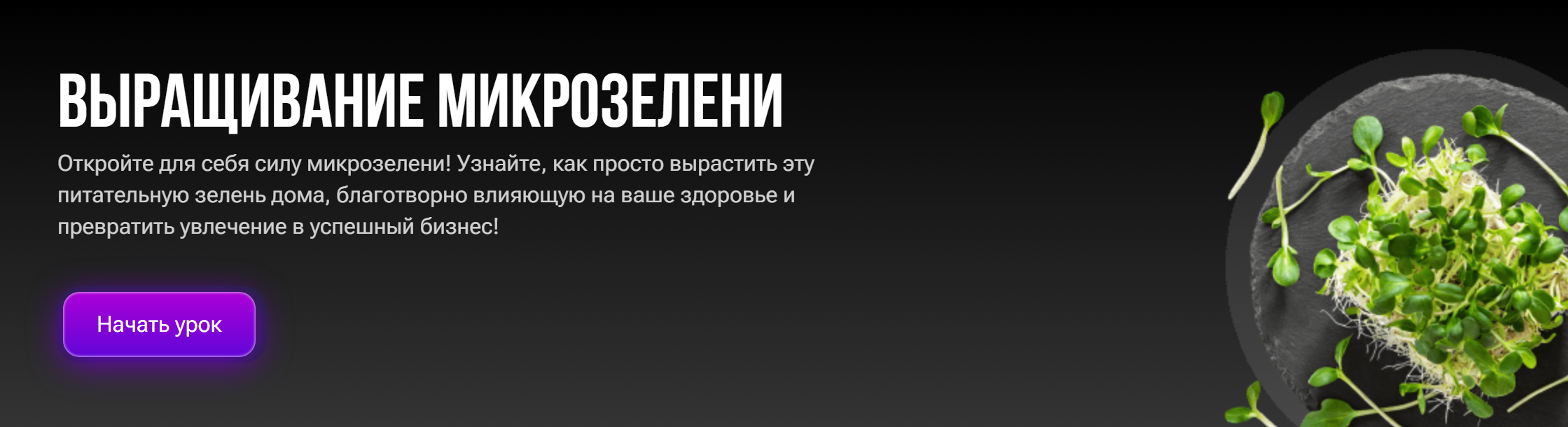 Выращивание микрозелени (Александр Шишов)