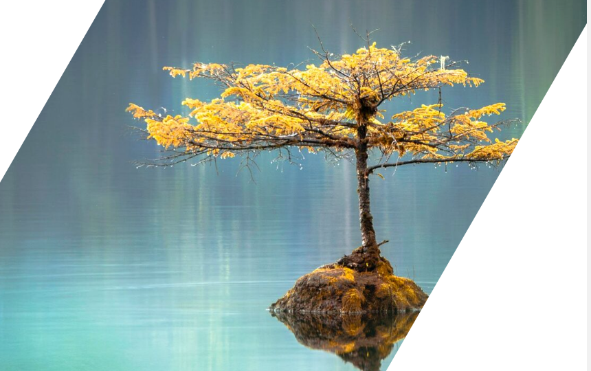 Точка сборки. 6 поток. Ноябрь 2023 (Андрей Ткаченко)