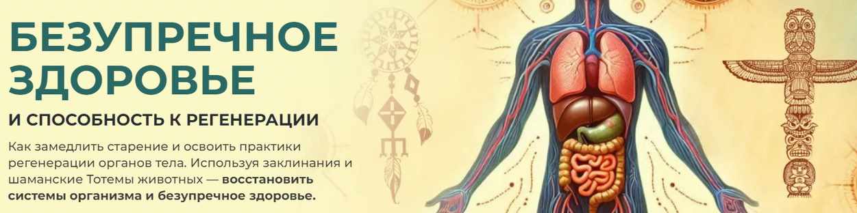 Безупречное здоровье и способность к регенерации 2024 (Александр Салогуб)