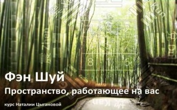 Фэн шуй. Алгоритмы решений. Урок 9. Транскрибация (Наталия Цыганова)