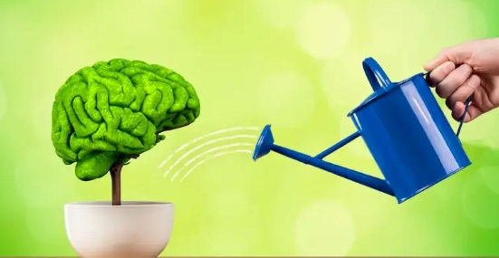 Память, которая помогает достигать, преподавать и успевать жить. Алфавит памяти (Елена Петри)