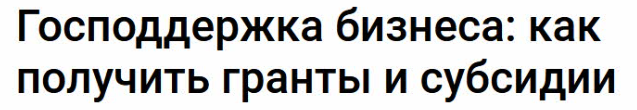 [Klerk] Господдержка бизнеса: как получить гранты и субсидии (Наталья Гончарова), фото 1 из 1.