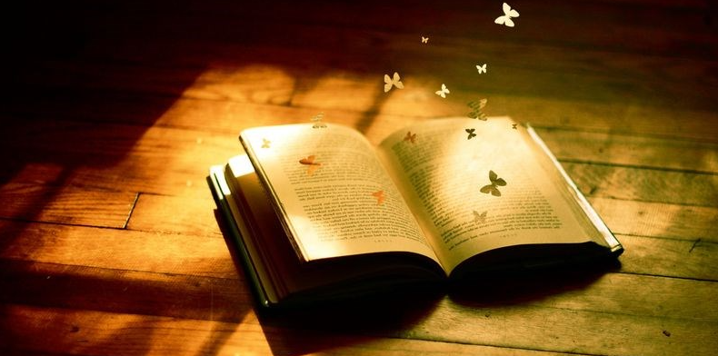 [Лавиния] Золотая книга Магии (Лавиния Сина Шендрей)