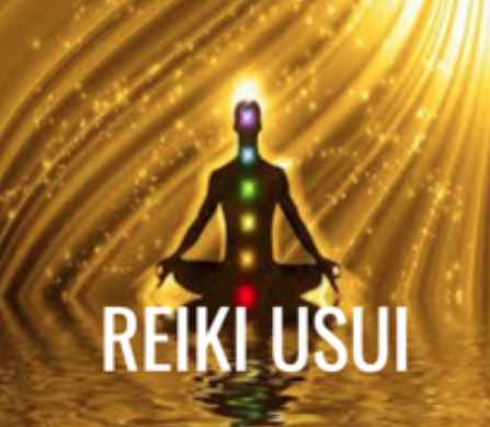 Рейки Усуи. 1 Ступень. Апрель 2024. 9 Поток (Оксана Куликова)