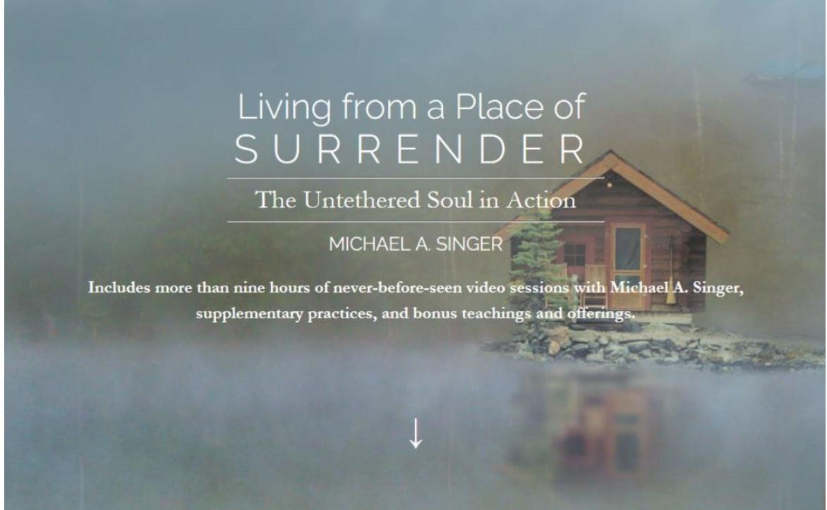 Жизнь в мире с жизнью. Полный курс (Майкл Сингер)