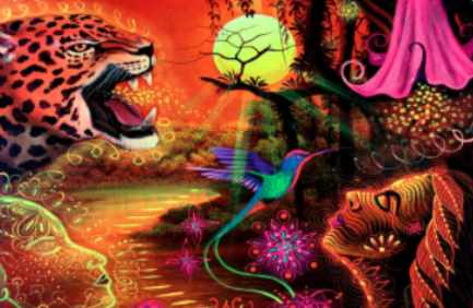 [Sigh Energy] Ayahuasca Powerful Plus +11x. Extra Strong