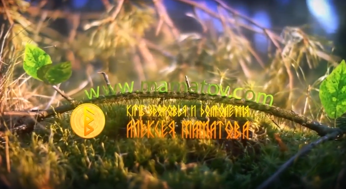 Ультраинтенсив PRO ЖКТ, 2017 (Алексей Маматов)