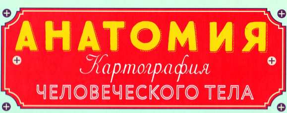 Анатомия. Картография человеческого тела (Жак Гишар)