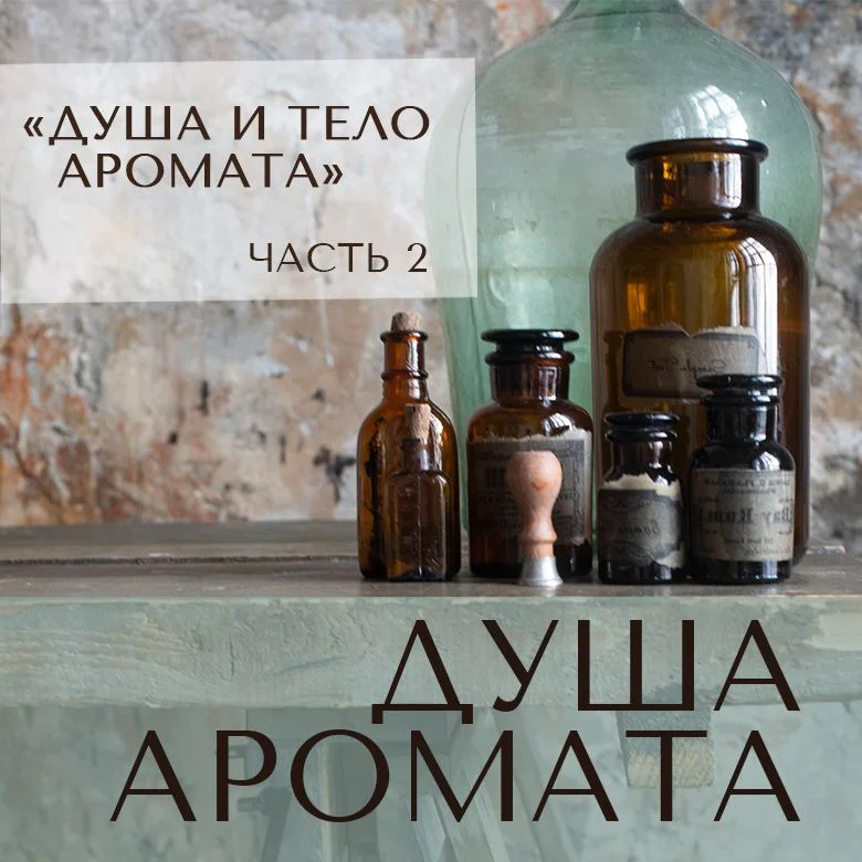 Душа и тело аромата. Часть 2. Душа аромата (Анна Зворыкина)