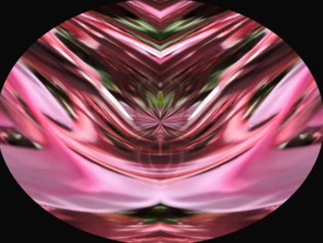 Рейки Жемчужина дракона (Габриэла Ясмин Шафман)