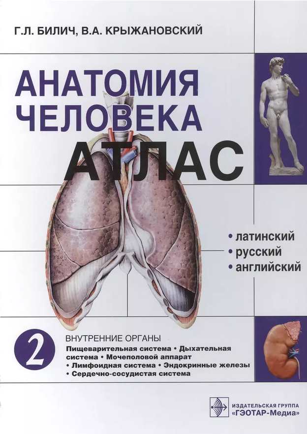 Анатомия человека. Атлас в 3 томах. Том 2 Внутренние органы (Габриэль Билич)