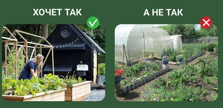 Дизайн современного огорода (Марина Берестова)