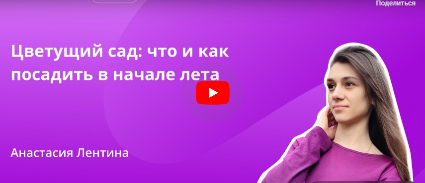 [Инфоурок] Цветущий сад: что и как посадить в начале лета (Анастасия Лентина)