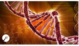 [neobeats-store] Solfeggio 528Hz Music - Частота восстановления древней днк