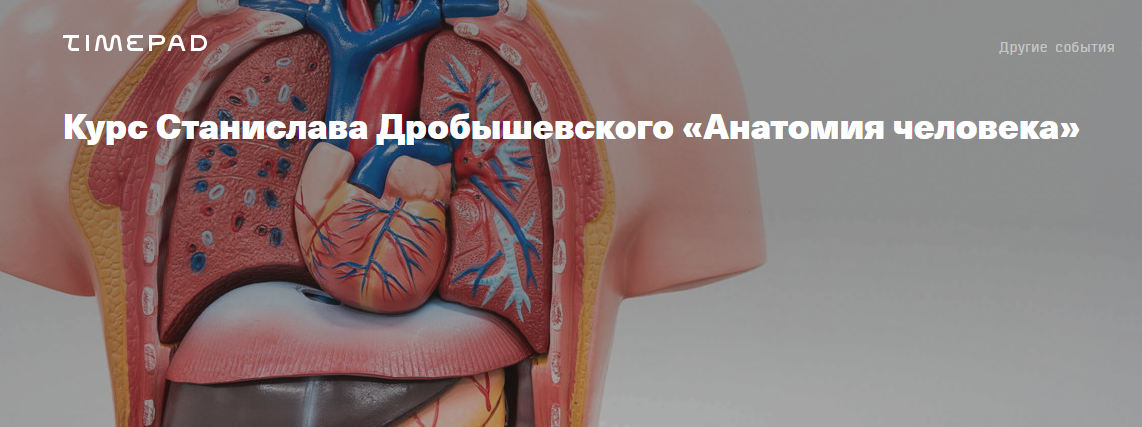 [Архэ] Анатомия человека 2024. Лекция 5. Миология: мышцы (Станислав Дробышевский)