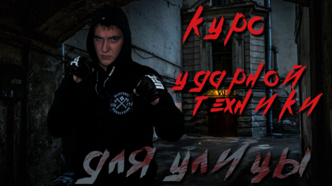 Курс ударной техники для улицы (Александр Степанов)