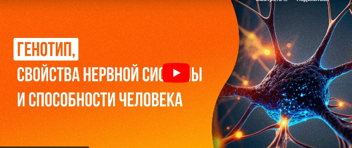 [Инфоурок] Генотип, свойства нервной системы и способности человека (Мария Афанасьева)