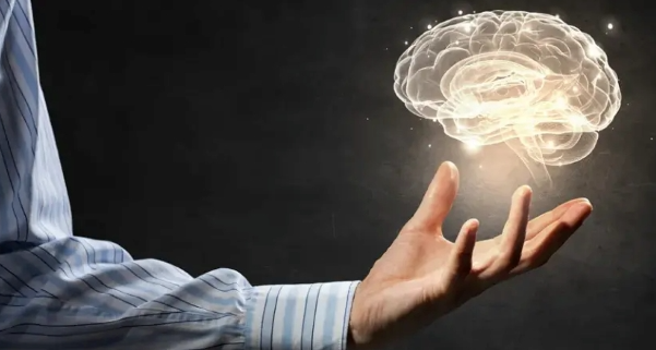 Память, которая помогает достигать, преподавать и успевать жить. Осмысленная память (Елена Петри)