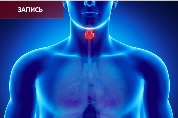 [Синофарм] Возможности Су Джок терапии и ТКМ в эндокринологии (Елена Макарова)