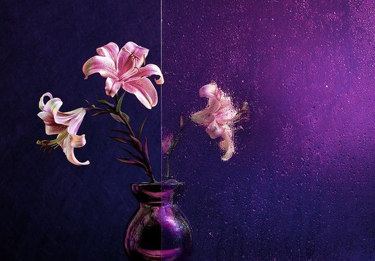 [fotoshkola] Как снимать красиво обычные вещи