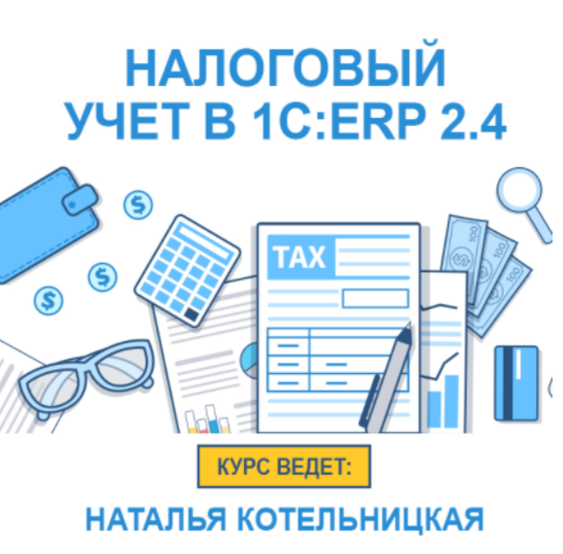 Налоговый учет в1С: ERP 2.4 (Наталья Котельницкая)