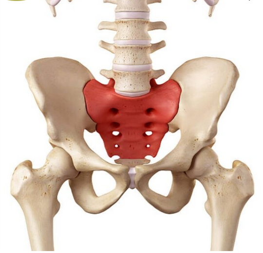 Работа с тазобедренным суставом (Сергей Лагода)