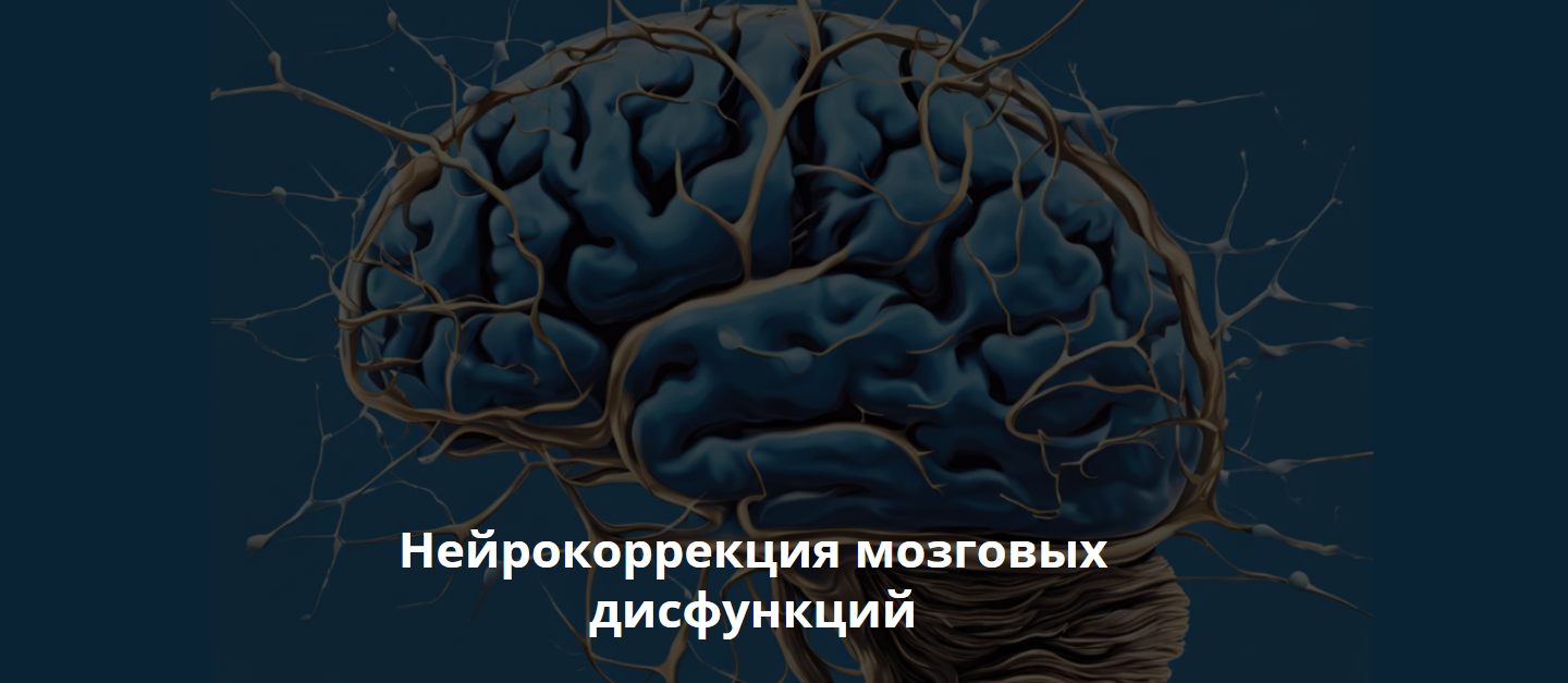 Нейрокоррекция мозговых дисфункций. Ноябрь 2024 (Салима Саиди)