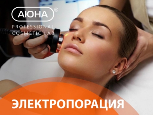 [Аюна] Электропорация (Романис Ботин-Маевски)