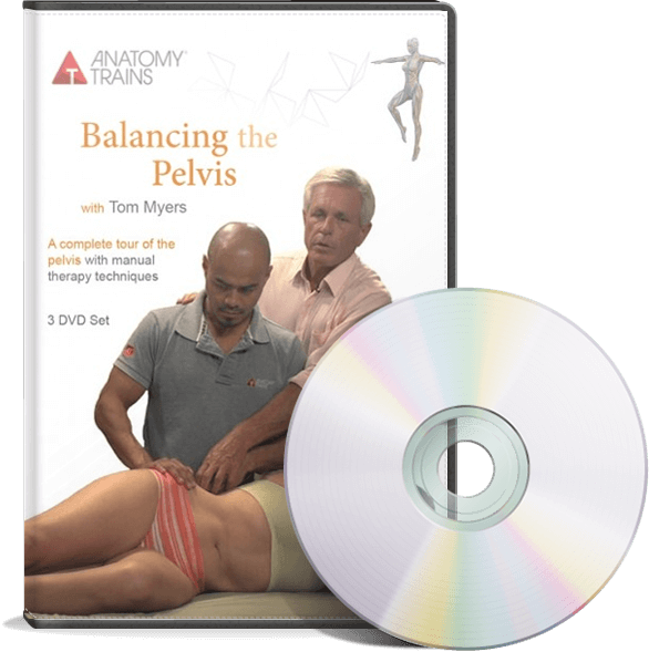 Балансировка таза (Томас Маерс)