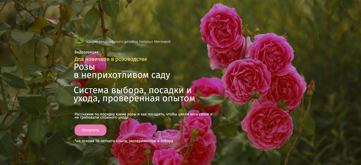 [Cад по-новому] Розы в неприхотливом саду (Наталья Козырецкая, Наталья Мягкова), фото 1 из 1.