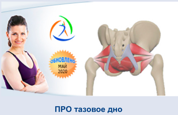 [Центр Практика] Про тазовое дно. Май 2020 (Елена Волкова)