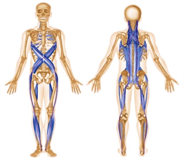 [Daoschool] Audio-Psy-модуль «Миофасциальная система», 2015