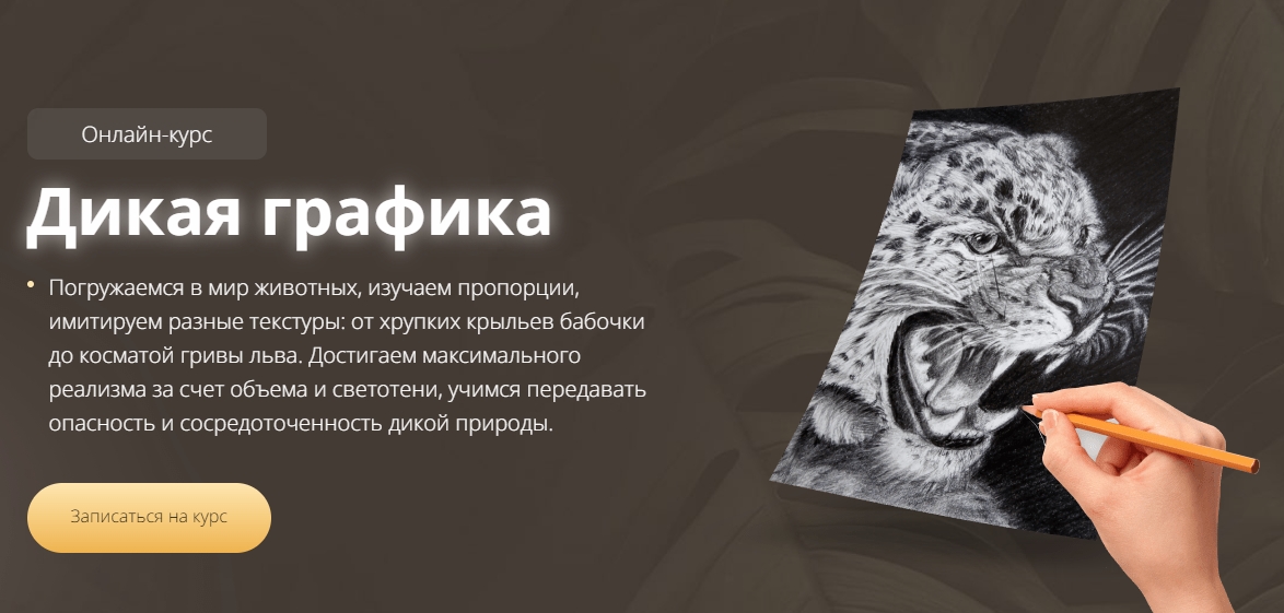 Дикая графика, 2023. Пакет Silver (Егор Матита)