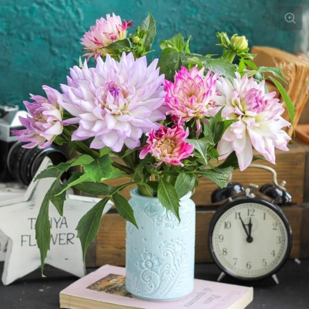 Георгин Crazy Love (tanyaflower)