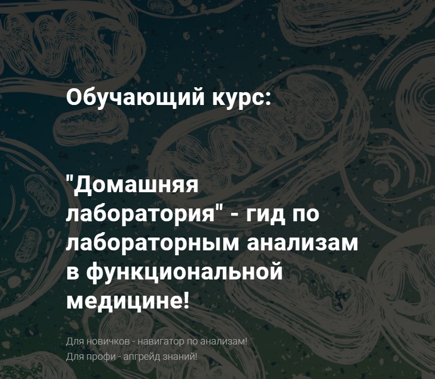 Гид по лабораторным анализам в функциональной медицине! Аминокислоты (Юлия Юсипова)