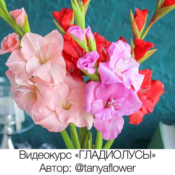 Гладиолусы (Татьяна Кононова) @tanyaflower